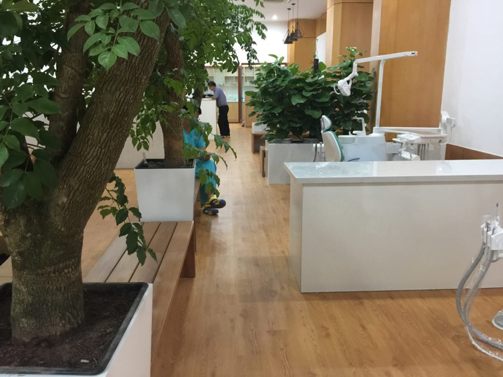 Phòng Khám đa khoa Quốc Tế Hàng Xanh