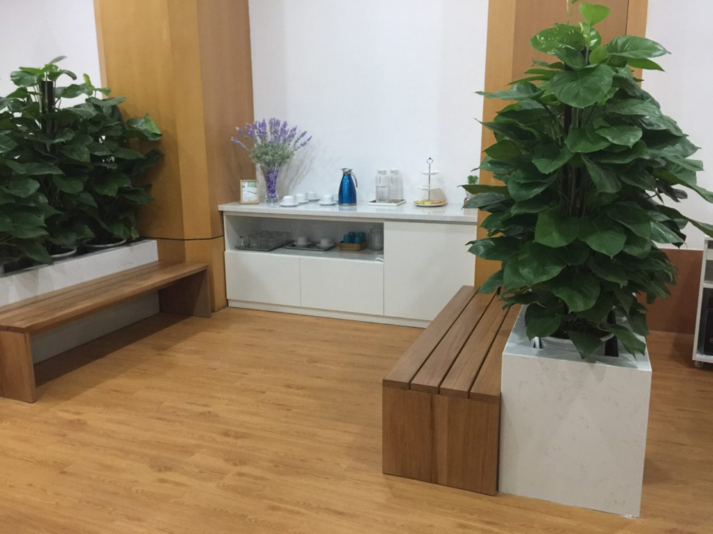 Phòng Khám đa khoa Quốc Tế Hàng Xanh