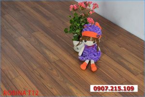 Mẫu sàn gỗ Robina đẹp