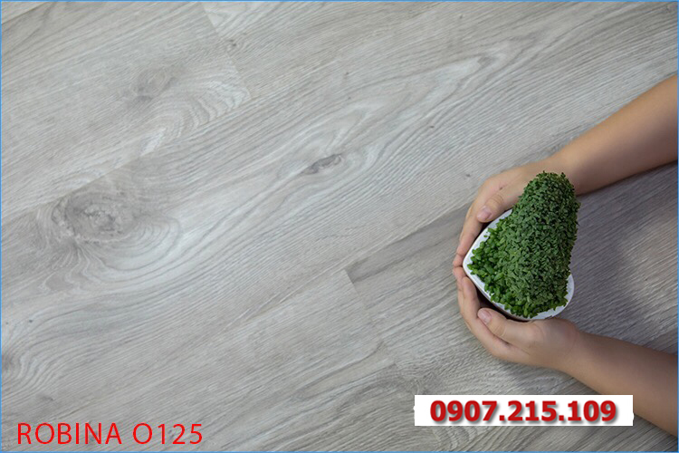 Mẫu sàn gỗ Robina đẹp Mẫu sàn gỗ Robina đẹp