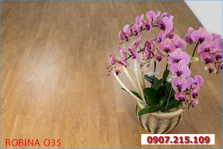 Mẫu sàn gỗ Robina đẹp Mẫu sàn gỗ Robina đẹp