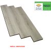 Sàn gỗ Robina 8mm bản lớn TWS221