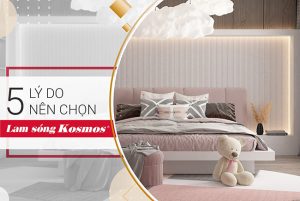 5 lý do nên chọn lam sóng Kosmos