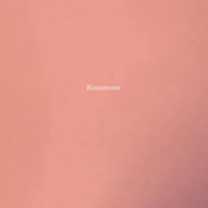 Bộ tấm ốp sợi than tre tráng gương TT-813