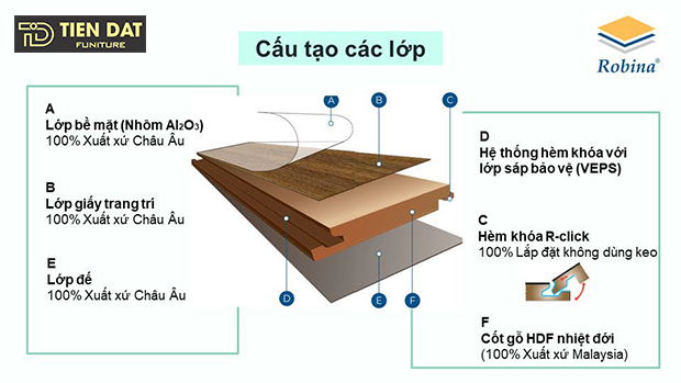 Các lớp cấu tạo sàn gỗ công nghiệp Robina Các lớp cấu tạo sàn gỗ công nghiệp Robina